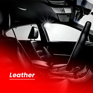 Plastic and Leather Cleaner and Cleaner for Professional Interior Care