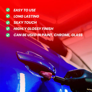 Cupido (500 gm) and Paint Sealant for Professional Paint Care