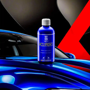 Cupido (500 gm) and Paint Sealant for Professional Paint Care