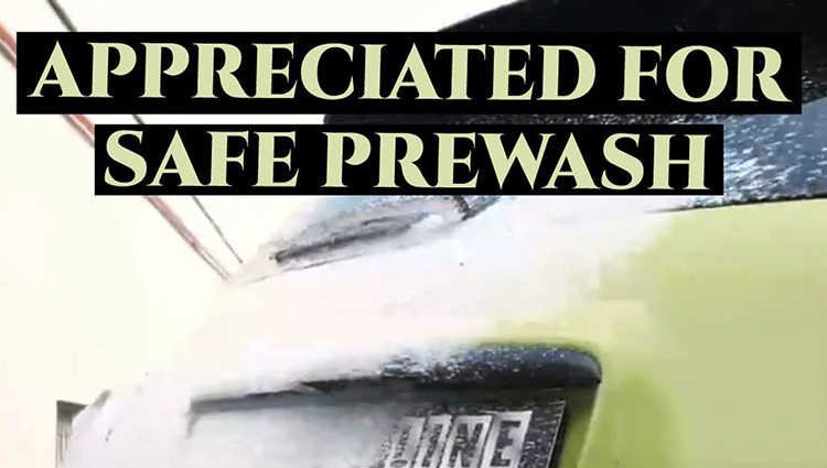 Foam Gun Prewash and Prewash for Professional Exterior Care - Detailing Essentials